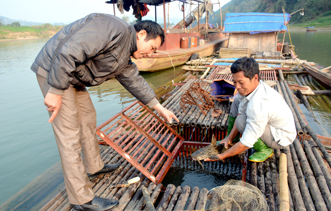Ông Trần Văn Hưng (bên phải), thôn Vân Thành, xã Vĩnh Lợi (Sơn Dương) được cán bộ khuyến nông huyện phụ trách xã hướng dẫn kỹ thuật chăm sóc cá lồng.